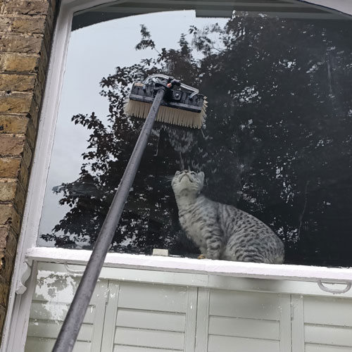 MG Window Cleaning